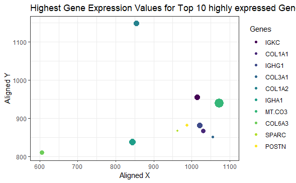 The highest expression of the top 10 highly expressed genes