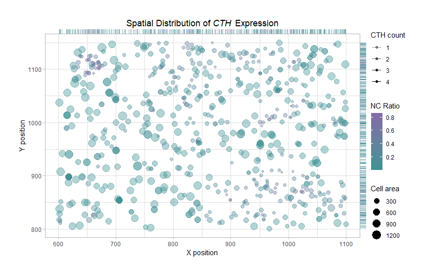 Spatial Distribution of *CTH* Expression