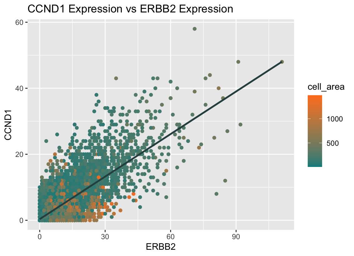 CCND1 Expression vs ERBB2 Expression