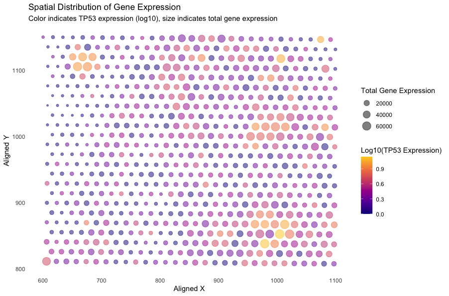 Spatial Distribution of Gene Expression