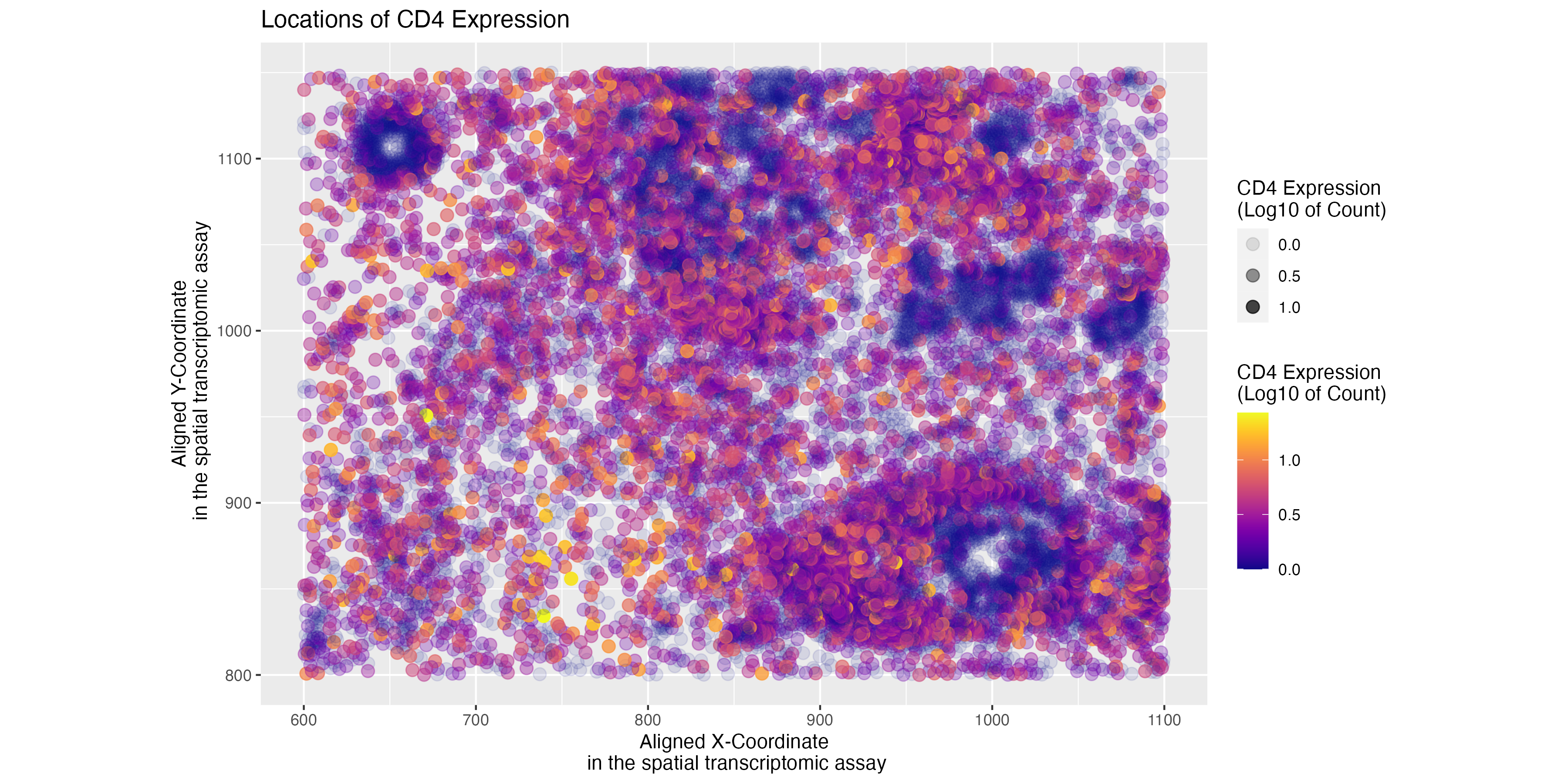 Spatial variation in expression of CD4 gene