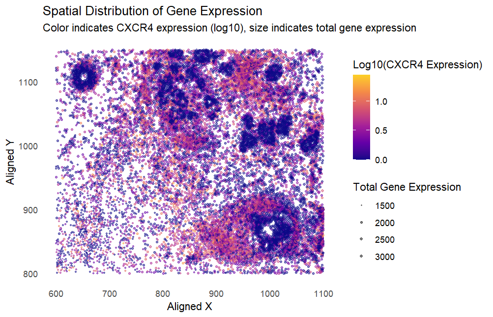 Applying the Spatial Distribution of Gene Expression visualization to the CXCR4 gene