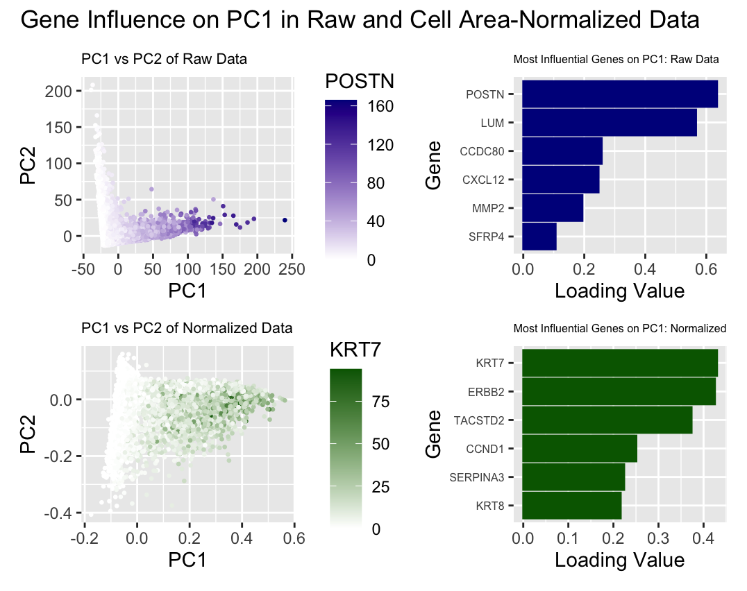 Comparison of Gene Influence on PC1 in Raw and Cell Area-Normalized Data