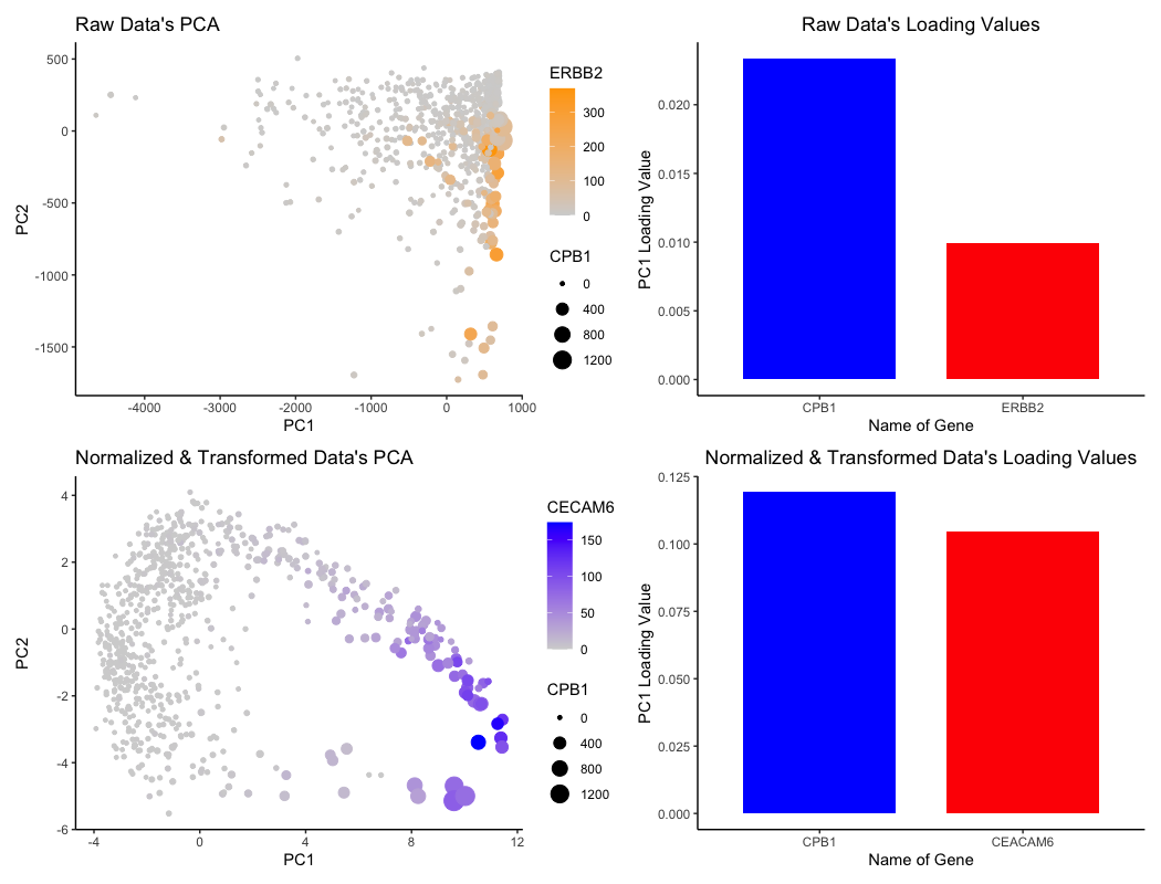 The Effects of Normalization & Transformation on Loading Values for PCA