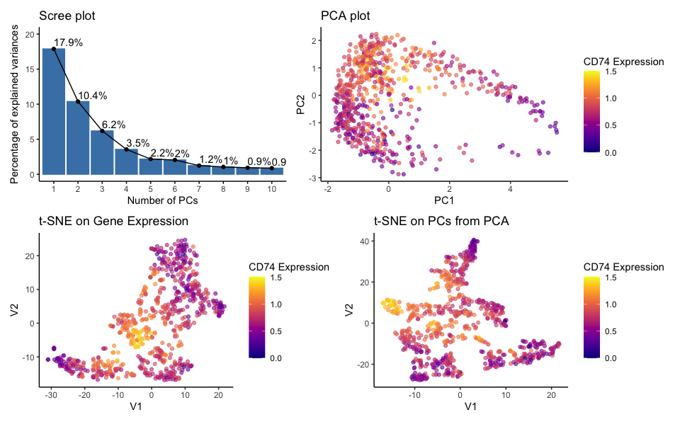 Performing non-linear dimensionality reduction on genes V.S. on PCs