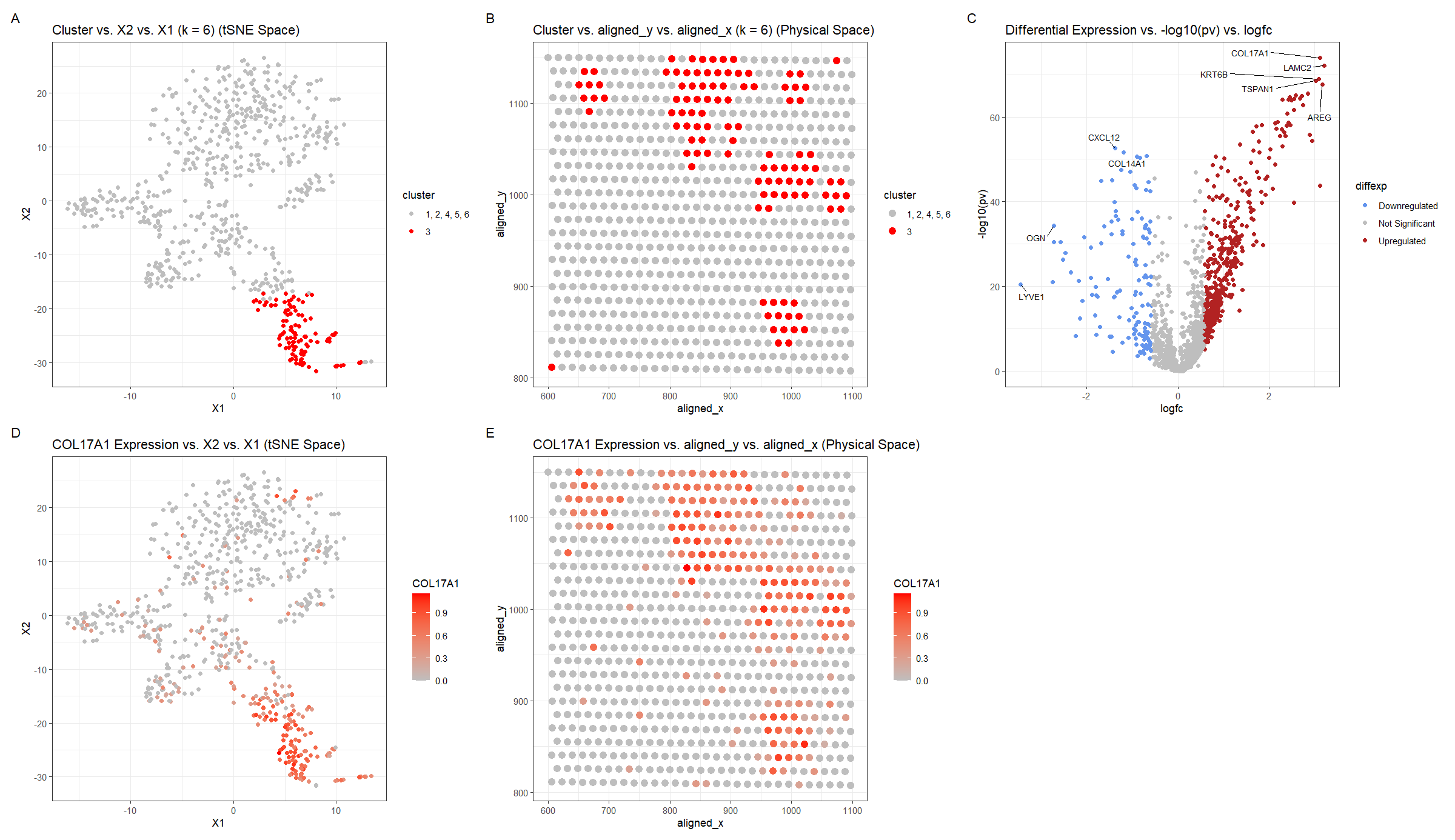 Identifying Cell-type from Breast Cancer Tissue Spatial Transcriptomics Data using K-means Clustering, tSNE, and Wilcox-test