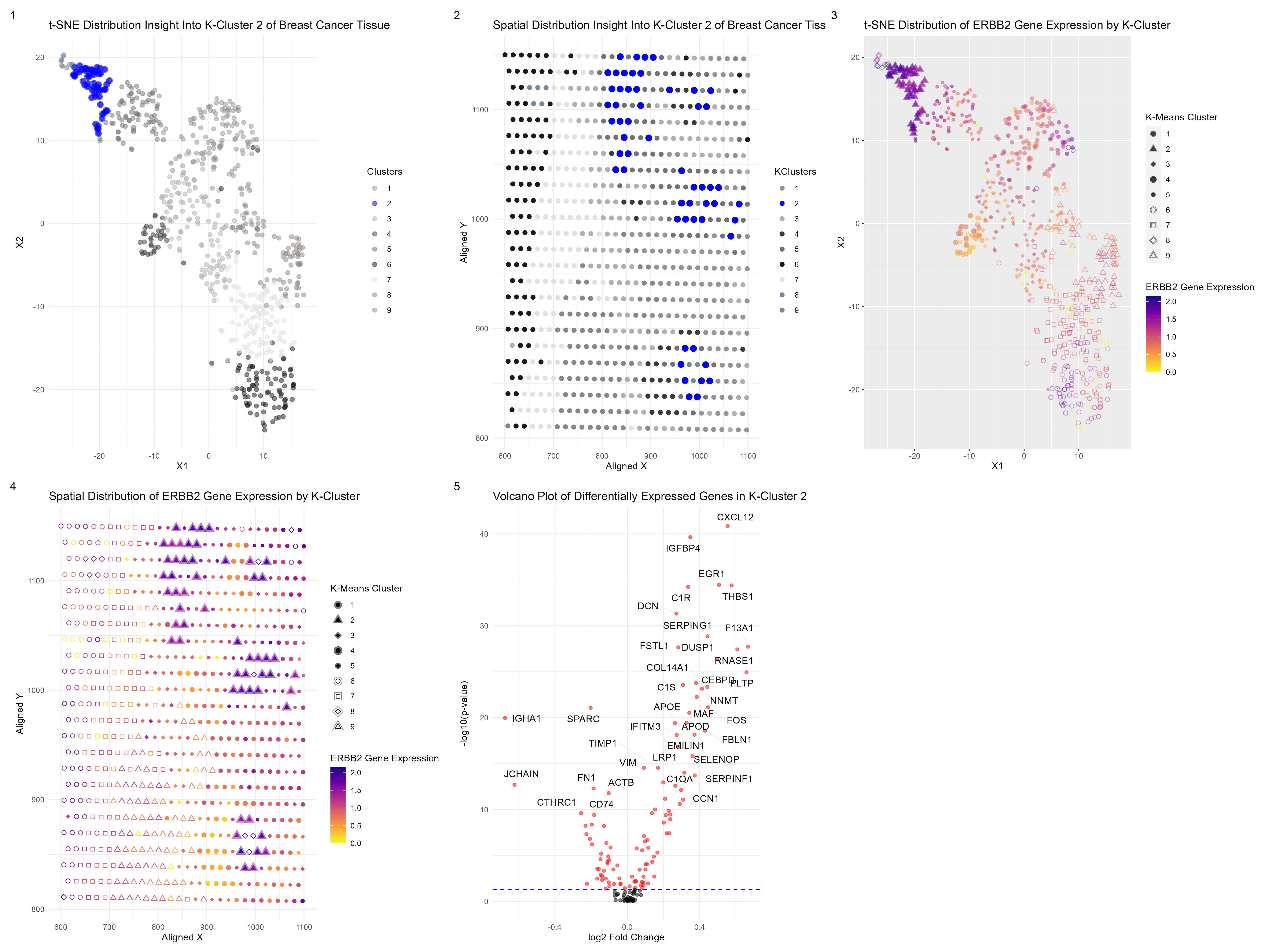 Identifying Differentially Expressed Genes in Breast Cancer Tissue Through K-Means Cluster Analysis