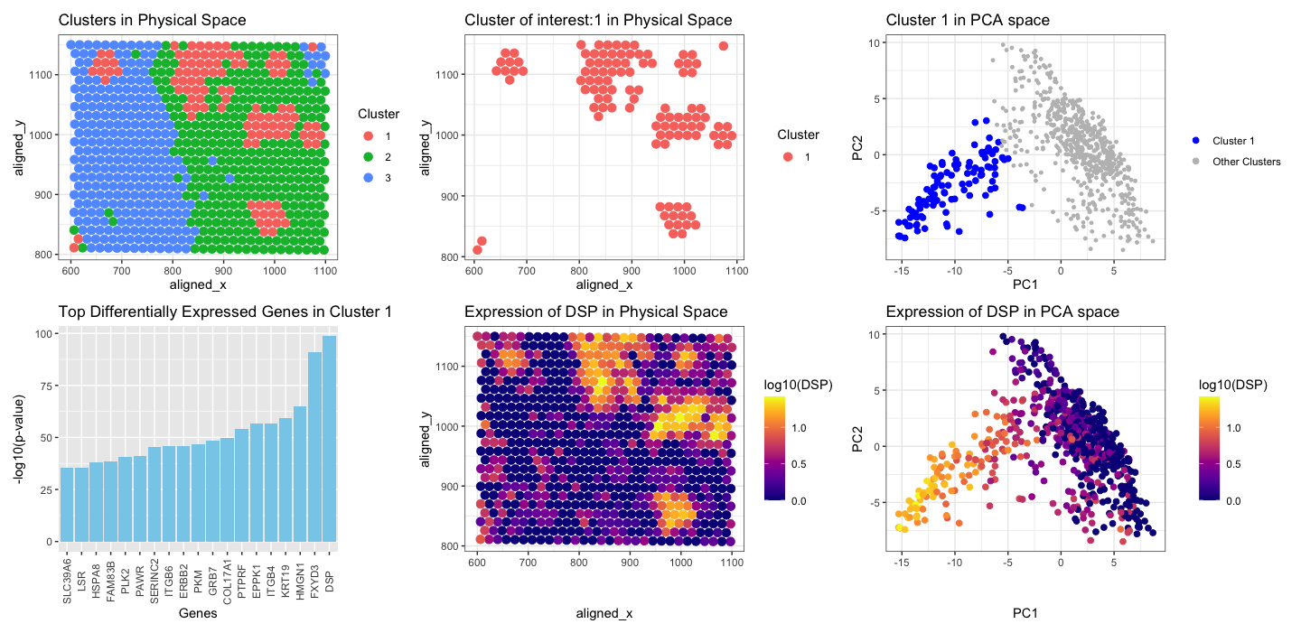 Spatially Resolved Gene Expression Analysis using KMeans clustering