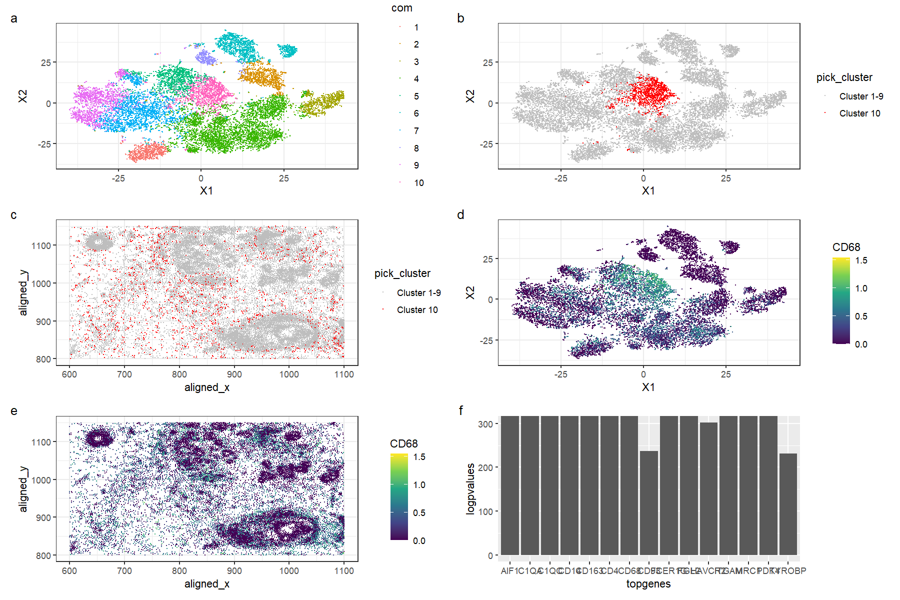 Multi-panel visualization of an immune cell cluster with differentially expressed genes