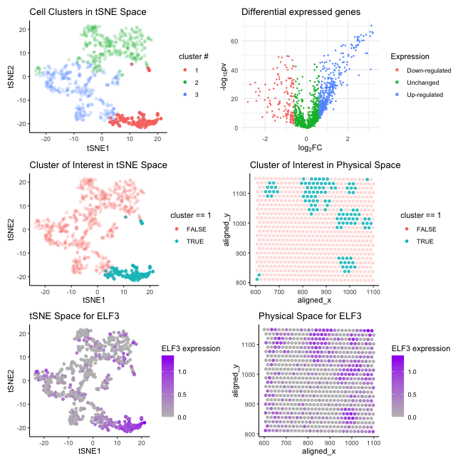 Interpreting cell cluster through dimensionality reduction and differential gene expression analysis 