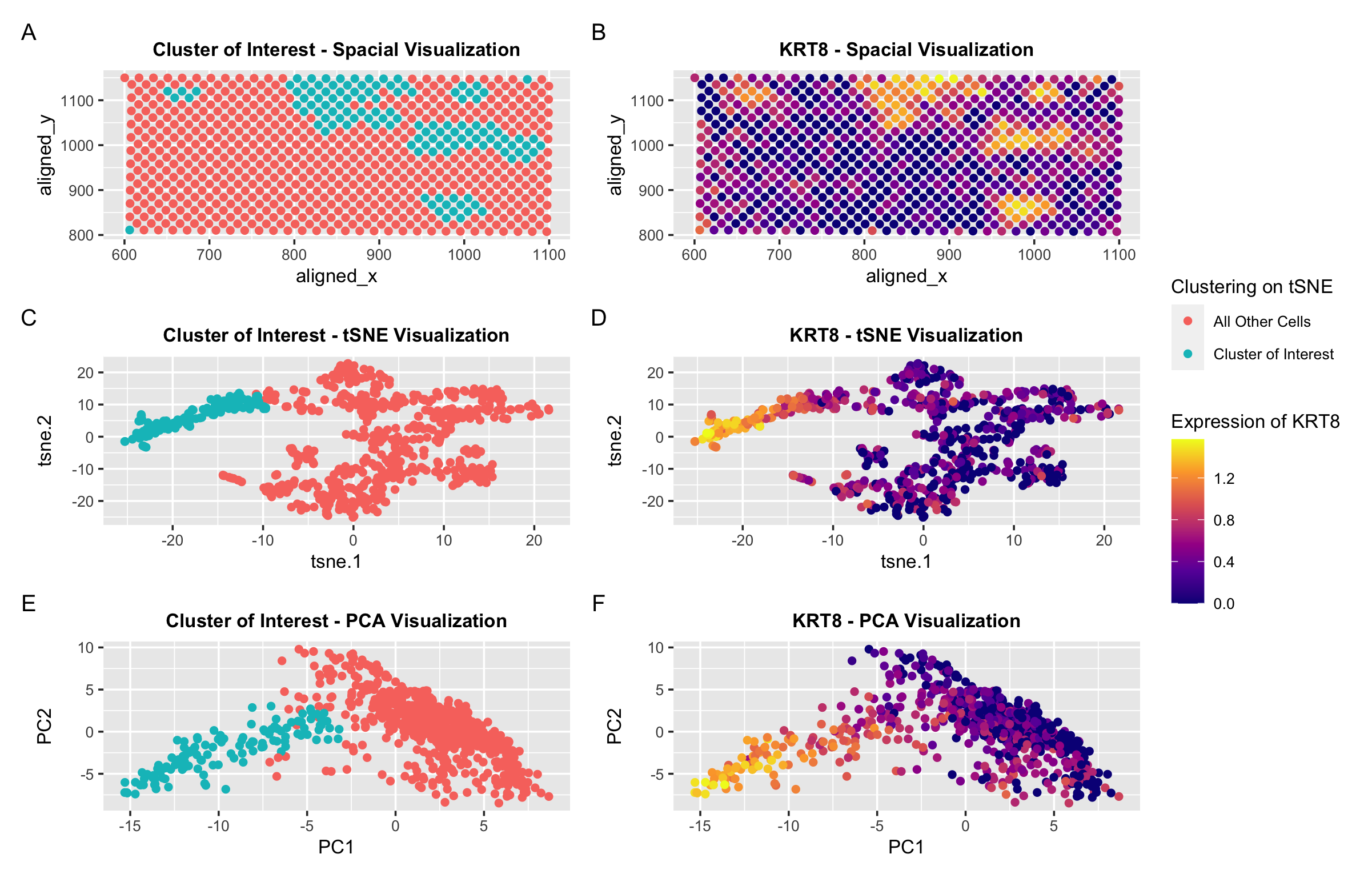 Identifying KRT8 Expression in Spot-Based Spatial Transcriptomic Data Set