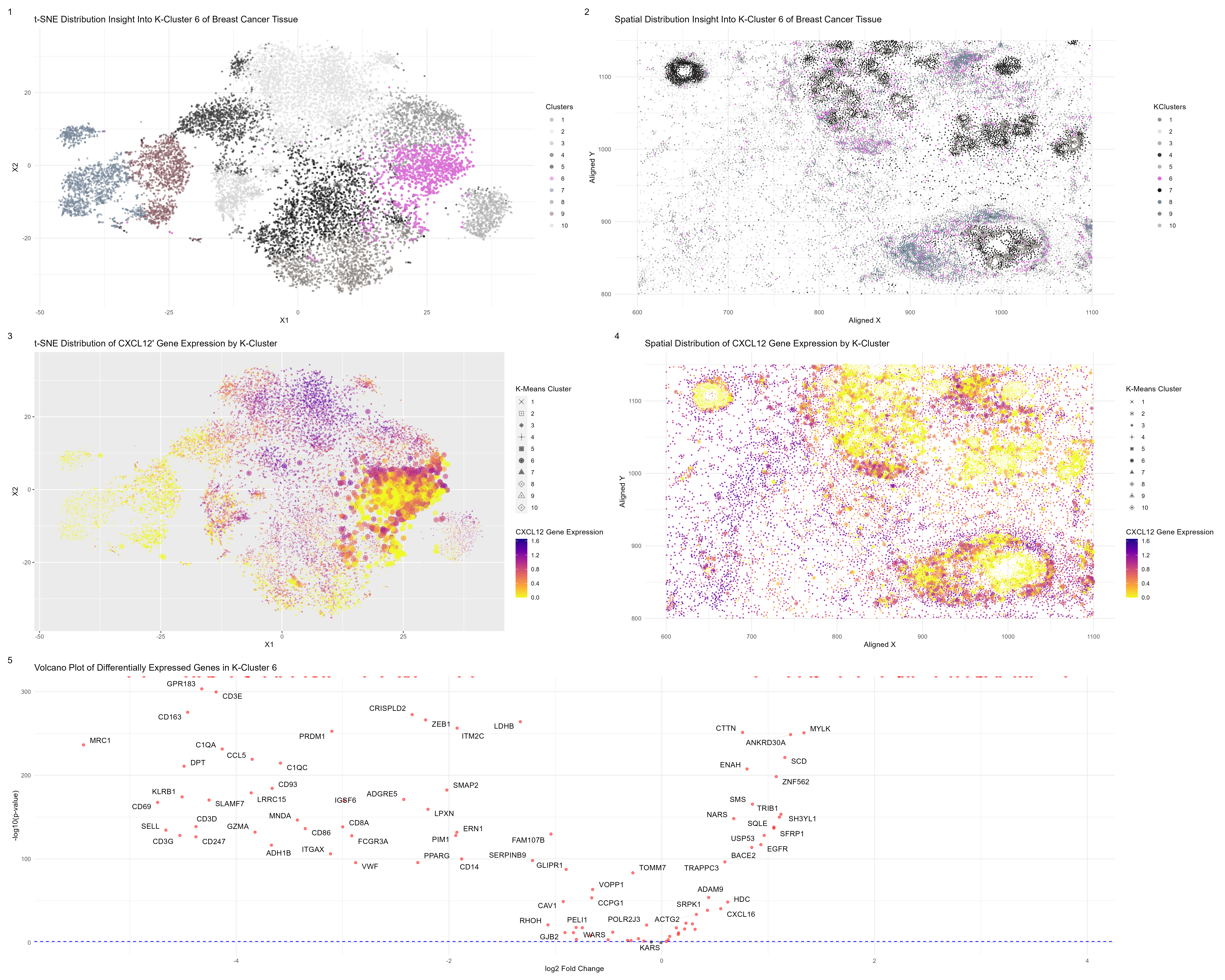 Identifying DCIS & Stromal Cells in Imaging Spatial Transcriptomics Data Through K-Means Cluster Analysis
