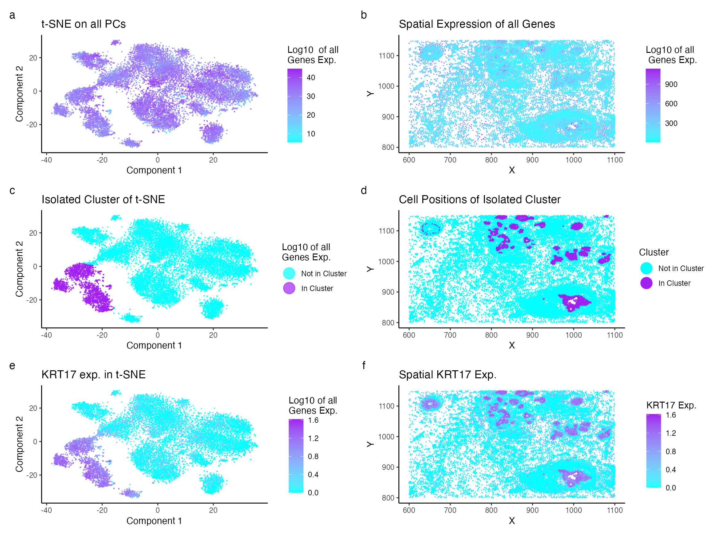 Identification of Epithelial Cell Cluster in Breast Cancer Tissue of Pikachu Data Set
