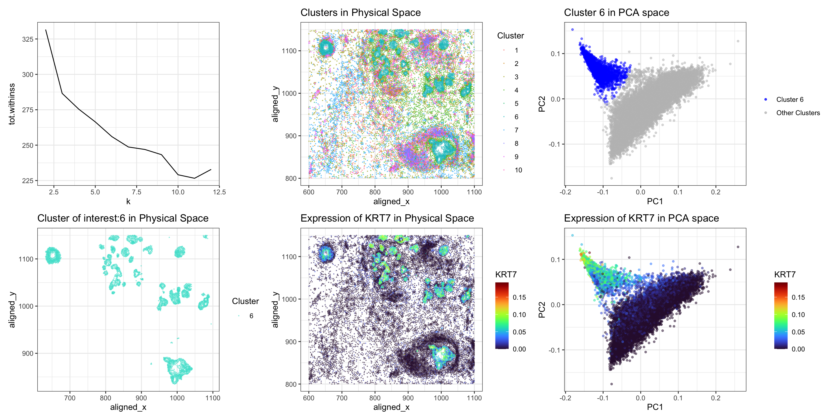 Exploring cell type using differential gene expression through KMeans clustering