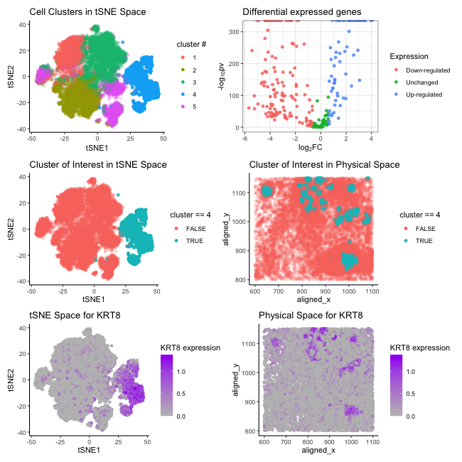 Pikachu dataset: Interpreting cell cluster through dimensionality reduction and differential gene expression analysis 
