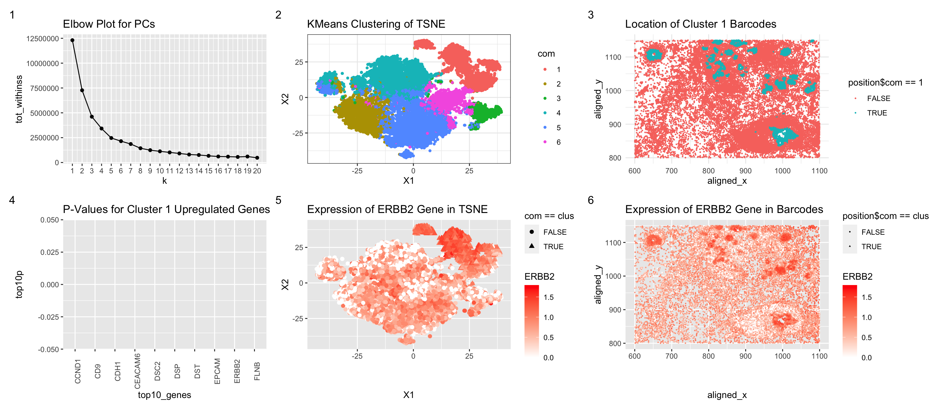 Differential Expression of ERBB2 Gene in Pikachu Data